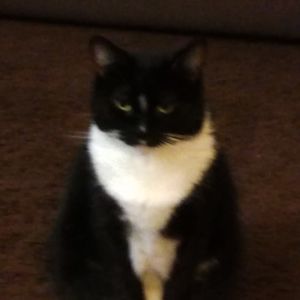 Meet your Posher, Deborah